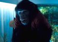 Rese&ntilde;a de Primate