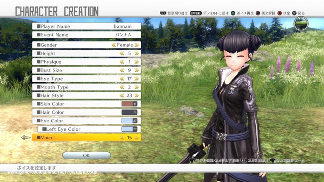 Sword Art Online: Hollow Realization