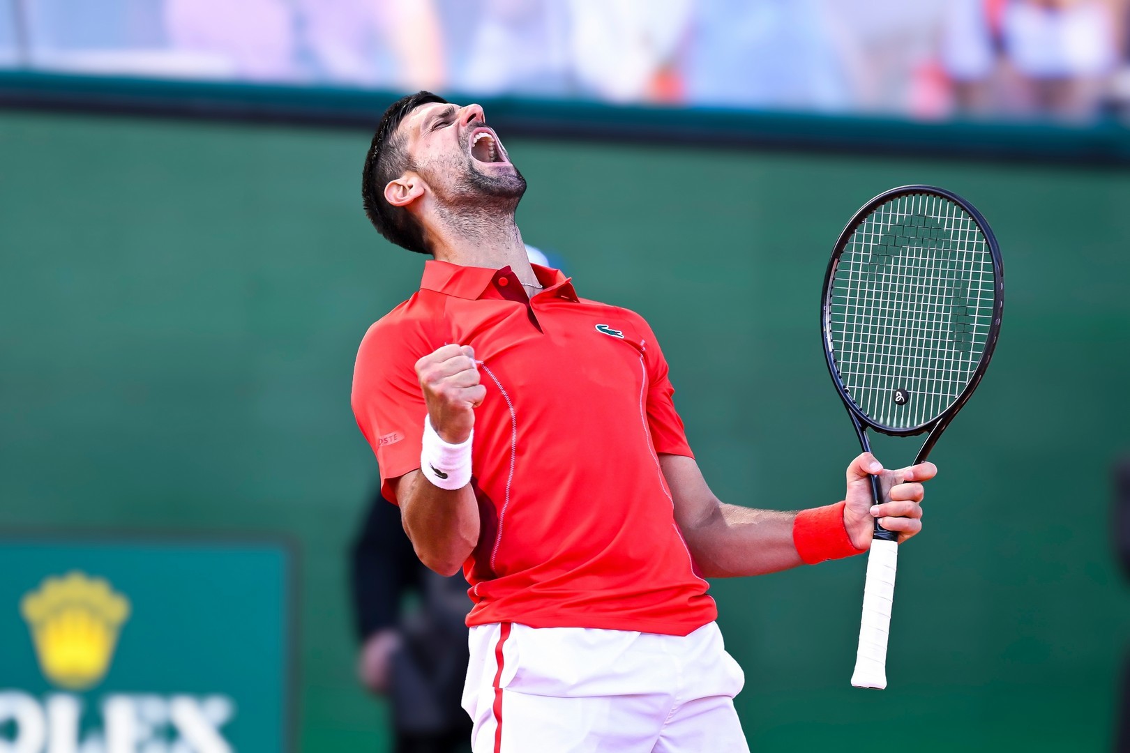 Novak Djokovic confirmado para el Open de Italia junto a Sinner y Zverev
