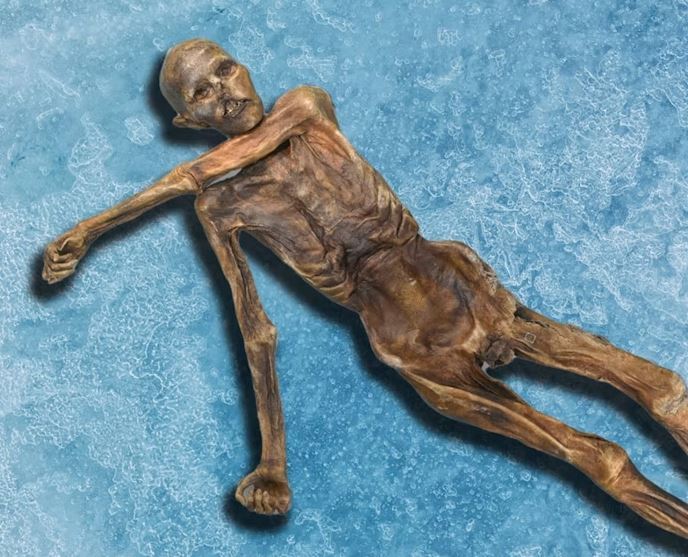 Los investigadores convierten una momia de 5.000 años en pan de masa madre