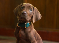 Scooby-Doo ser&aacute; un perro de verdad en la serie precuela de acci&oacute;n real de Netflix Scooby-Doo: Origins