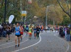 El marat&oacute;n se eliminar&aacute; de los Campeonatos del Mundo de Atletismo y tendr&aacute; su propio campeonato independiente a partir de 2030