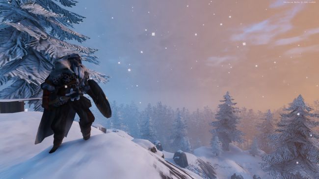 Valheim