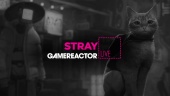 Stray - Livestream Replay