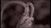 Centipede Infestation - Instructional Trailer