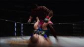 UFC Undisputed 3 - Fight of the Night DLC Trailer